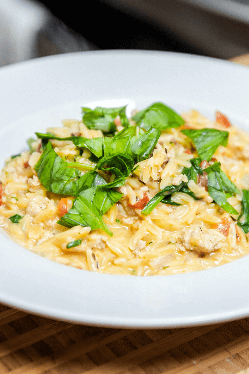 A large white bowl of creamy tomato orzo topped with basil chiffonade.